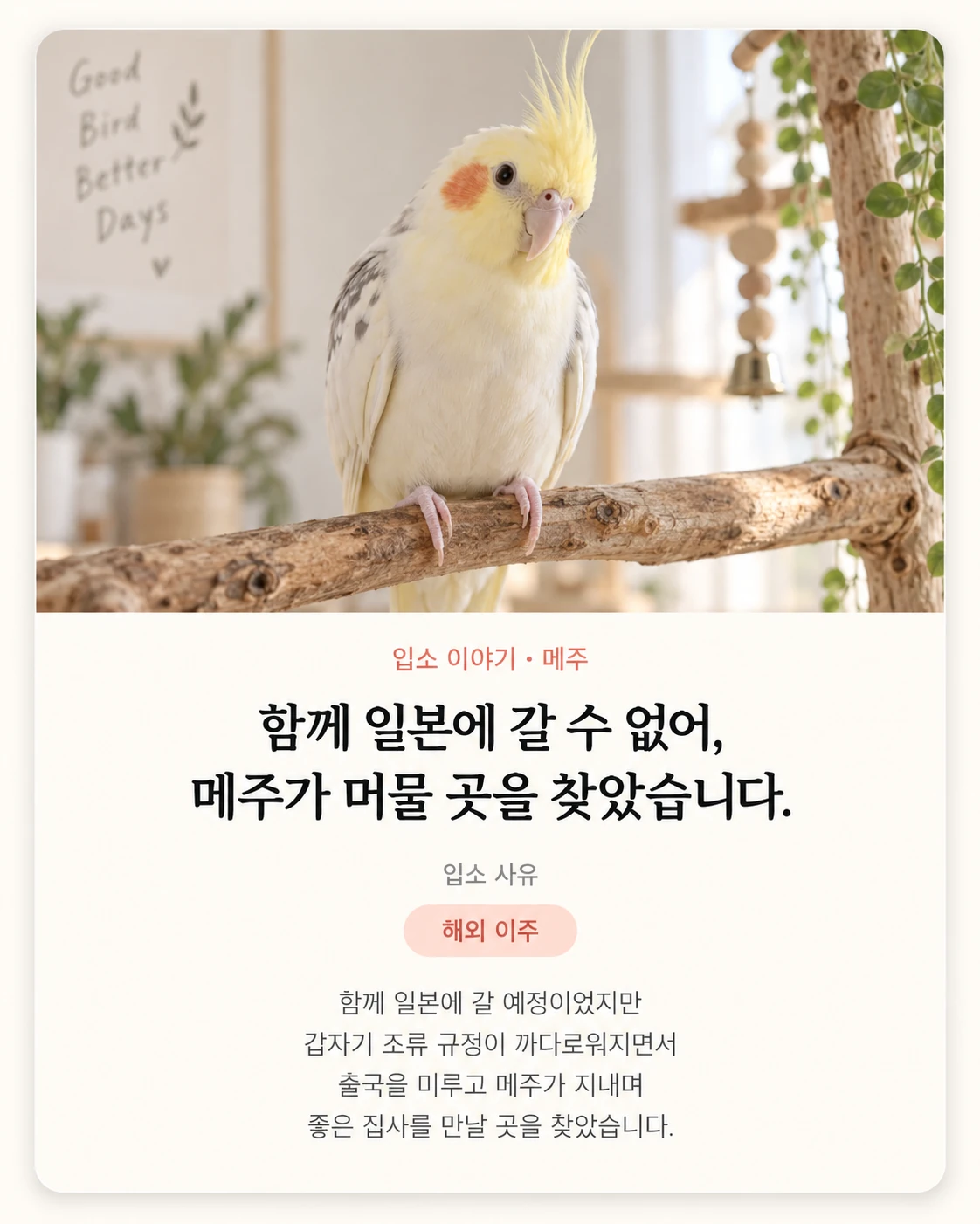 입소 이야기 메주 카드